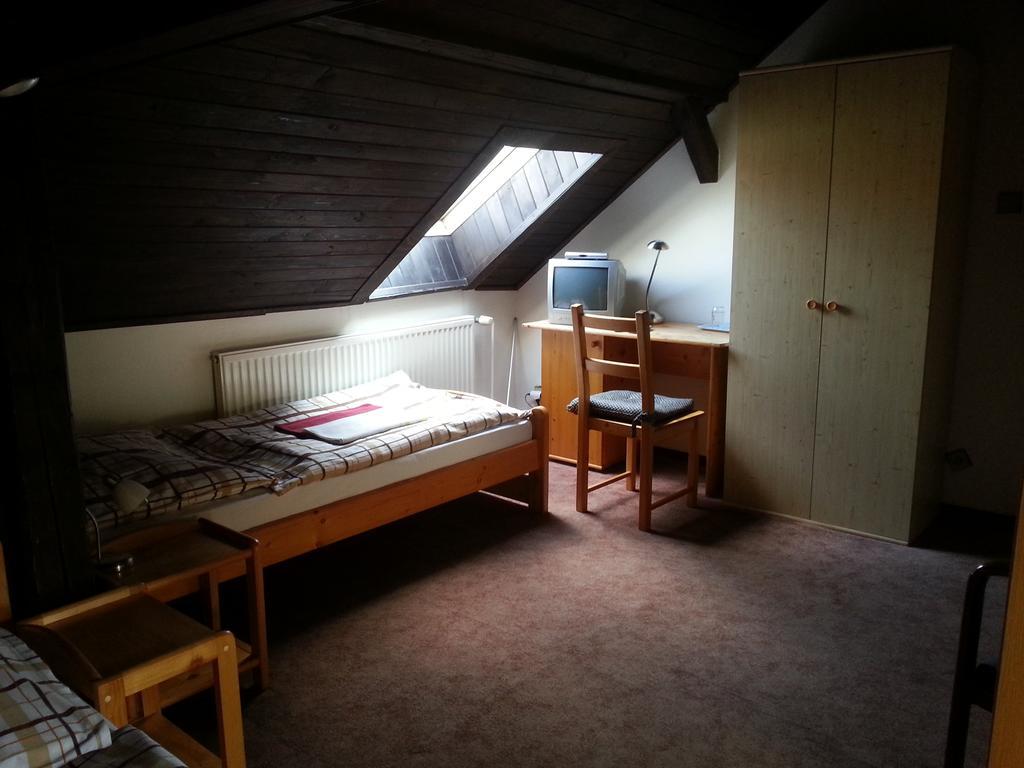 Pension U Dolezalu Brno Extérieur photo